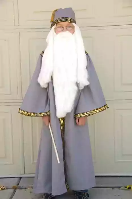 Dumbledore Costume