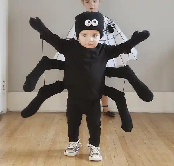 Little Spooky Spider